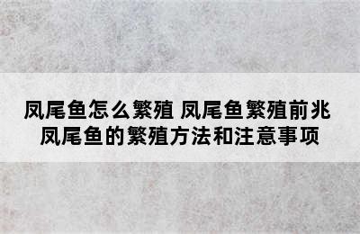 凤尾鱼怎么繁殖 凤尾鱼繁殖前兆 凤尾鱼的繁殖方法和注意事项